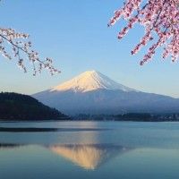 用戶頭像
