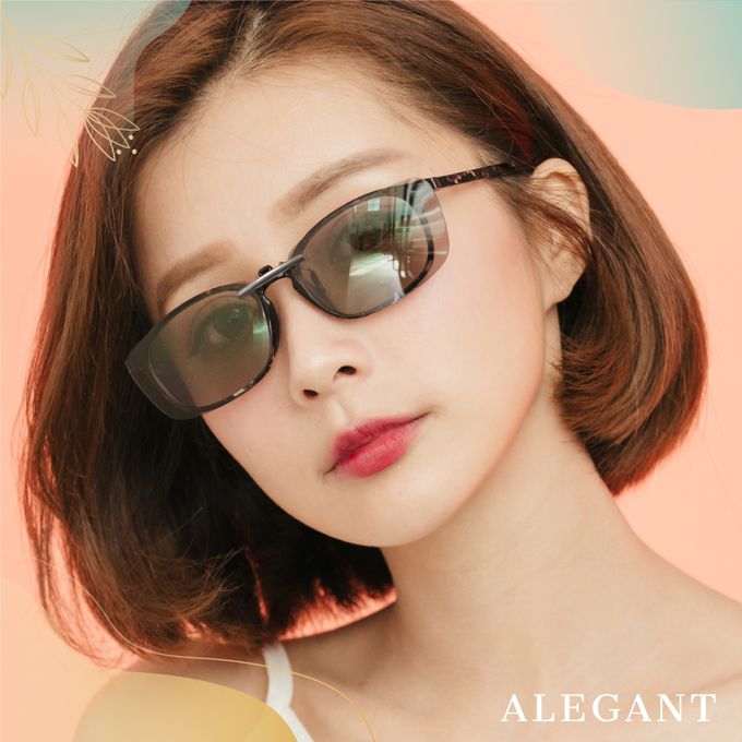 ALEGANT - 冰島灰鋁鎂合金夾式結構寶麗來偏光太陽眼鏡│UV400墨鏡車用夾片│外掛夾式鏡片│近視可戴外掛寶麗來墨鏡