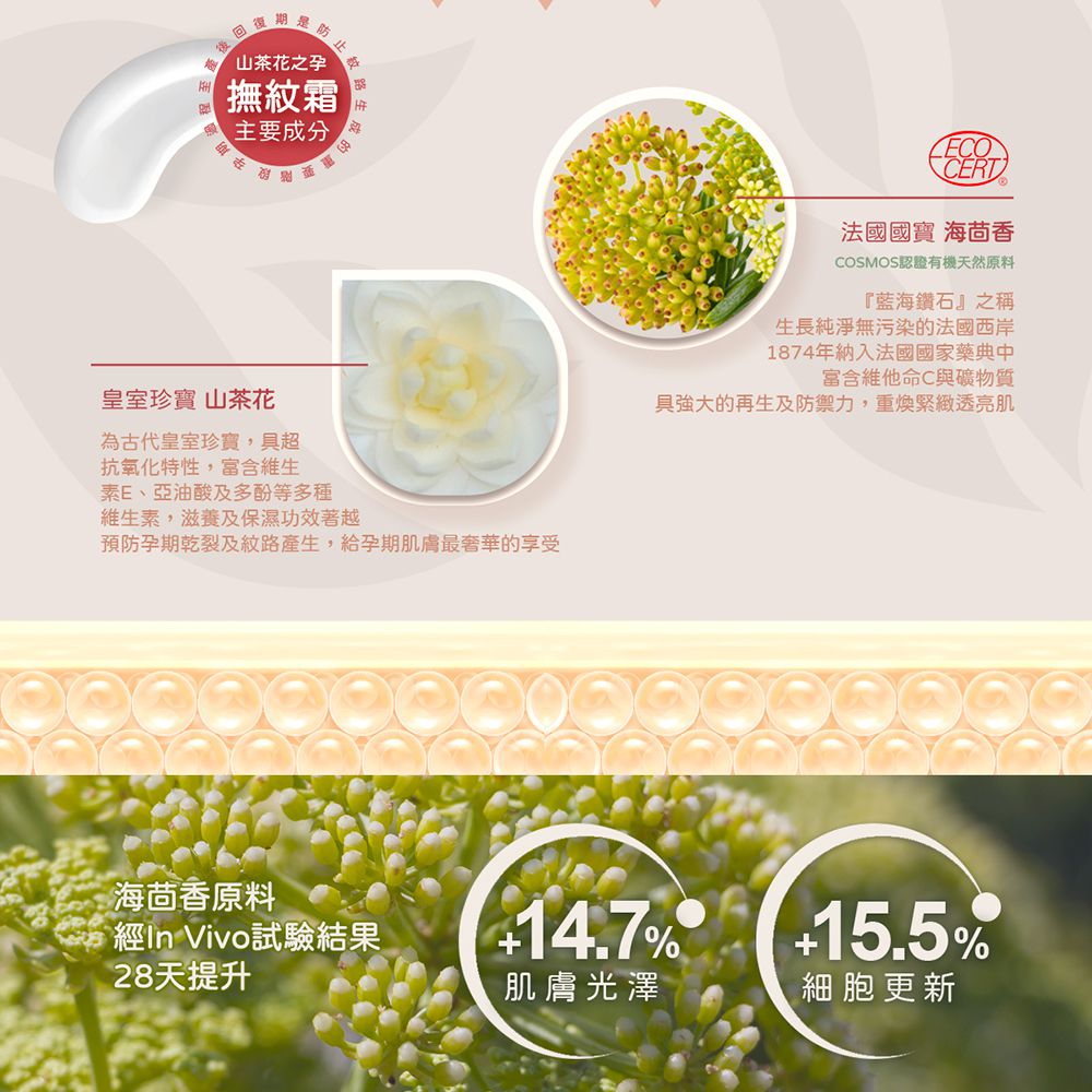山茶花之孕撫紋霜-135g