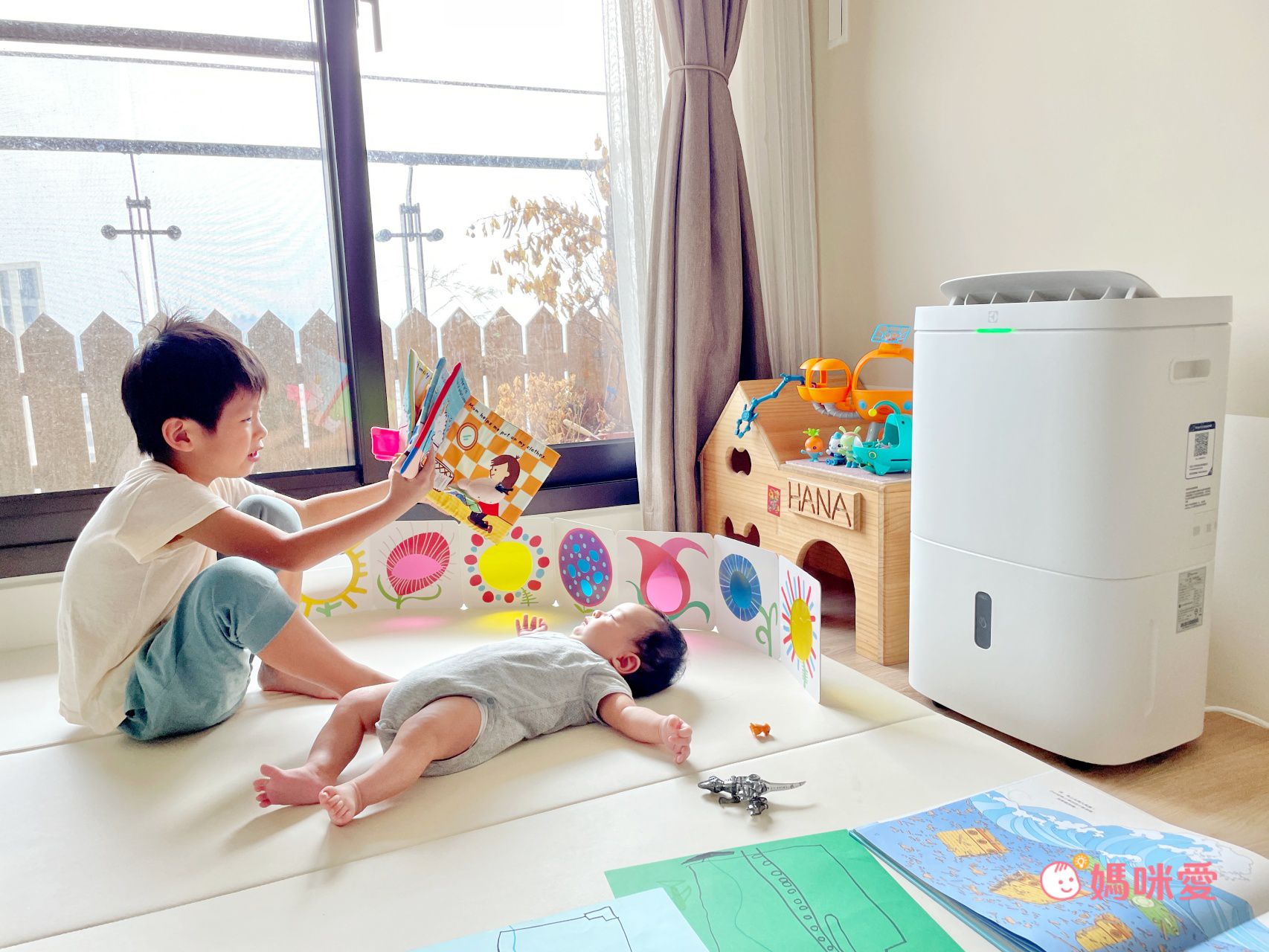 除濕清淨雙效合一！【伊萊克斯 清淨除濕機】室內晾衣不發臭