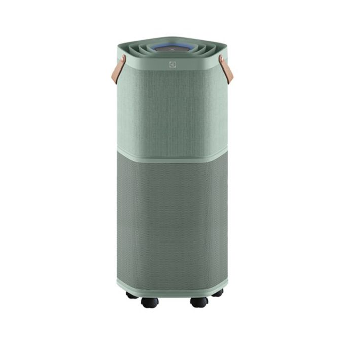 Electrolux 伊萊克斯 - 高效能抗菌空氣清淨機Pure A9.2(29坪內適用)-EP71-76GRA-海洋綠-+活性碳淨味抗菌濾網(EFDFRH6)組