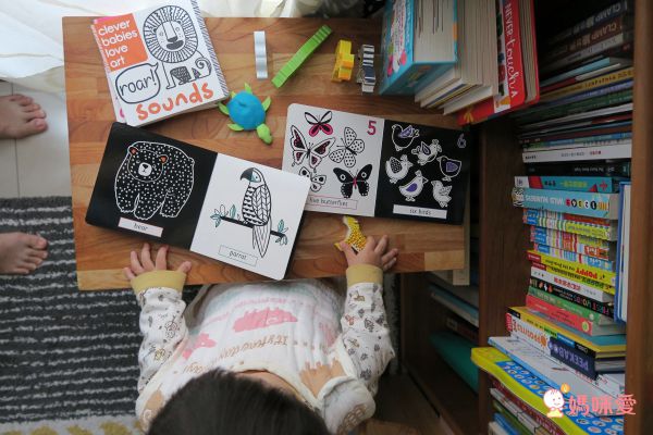 0歲培養親子共讀❤療癒系英文厚頁書 / 音效書 / 觸摸書