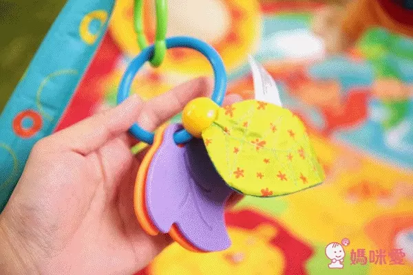 Tiny Love - Gymini Monkey lsland 開心猴島遊樂毯-小小運動場-開心猴島主題 (0M+)