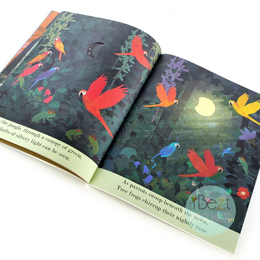 Little Tiger - A Peek-Through Picture Book(Tree/Bee/Sea/Moon) 精緻絕美的洞洞繪本