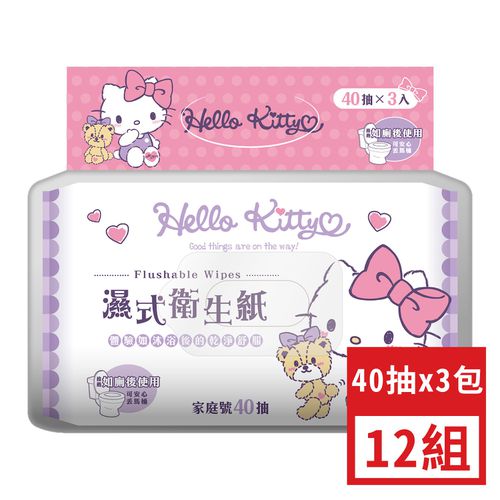 HELLO KITTY - 濕式衛生紙-40抽×3包-12組(箱購)促銷推廣價-200mm×150mm(CNS許可差±5%)