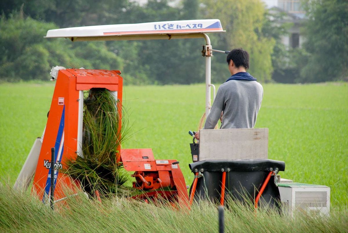 日本池彥 - 過敏協會認證 日本製防蟎蟲野餐墊 / 地毯(4-5人)-英文字-藍 (174x174cm)