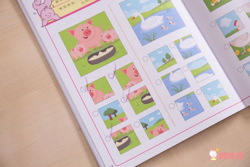 小牛頓科學教育有限公司 - 小牛頓趣味邏輯思維訓練-平裝-全彩 (3-6歲)-全套六冊