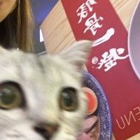用戶頭像