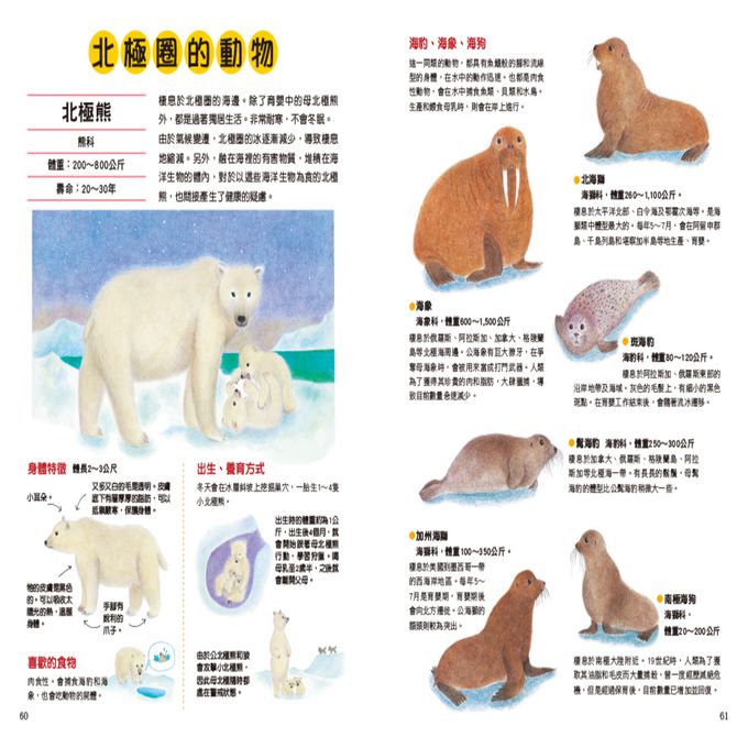 野生動物生態繪本