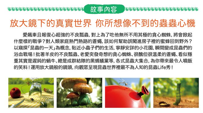 弘恩動畫 - 昆蟲Life秀 Season 1-DVD6片裝、439分鐘(全78集/每集約2~5分鐘)、無發音、無字幕-加贈：昆蟲導讀手冊二本