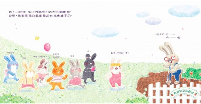 小瓢蟲中英雙語系列 ★啟蒙認知五書組★ 0歲開始看，依寶寶視覺發展階段設計！