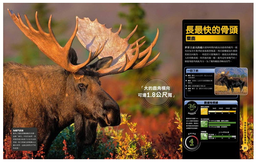 超能力動物百科：100種地球上最大、最快、最致命的動物 (精裝 / 256頁  /全彩印刷)