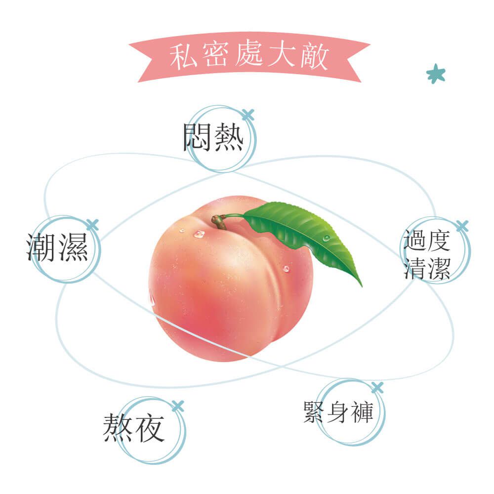 貝柔 Peilou - 機能抗菌無縫中腰女三角褲-粉橘 (Free)