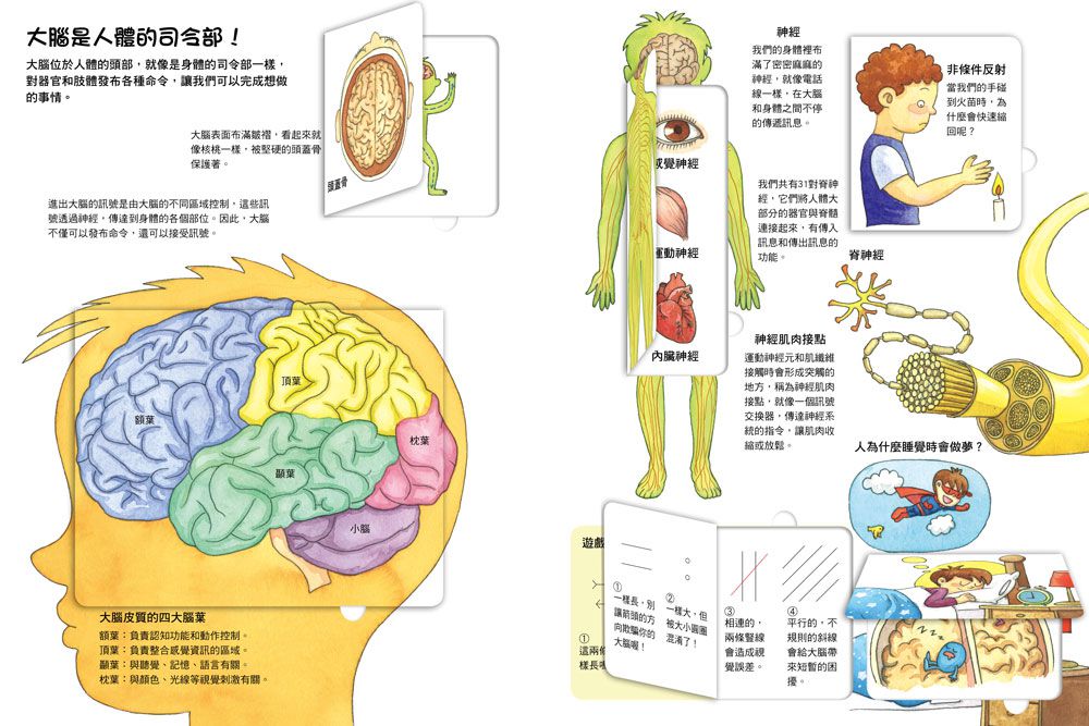 我的STEAM翻翻書：不可思議的身體-內含7個場景+52個翻頁小機關