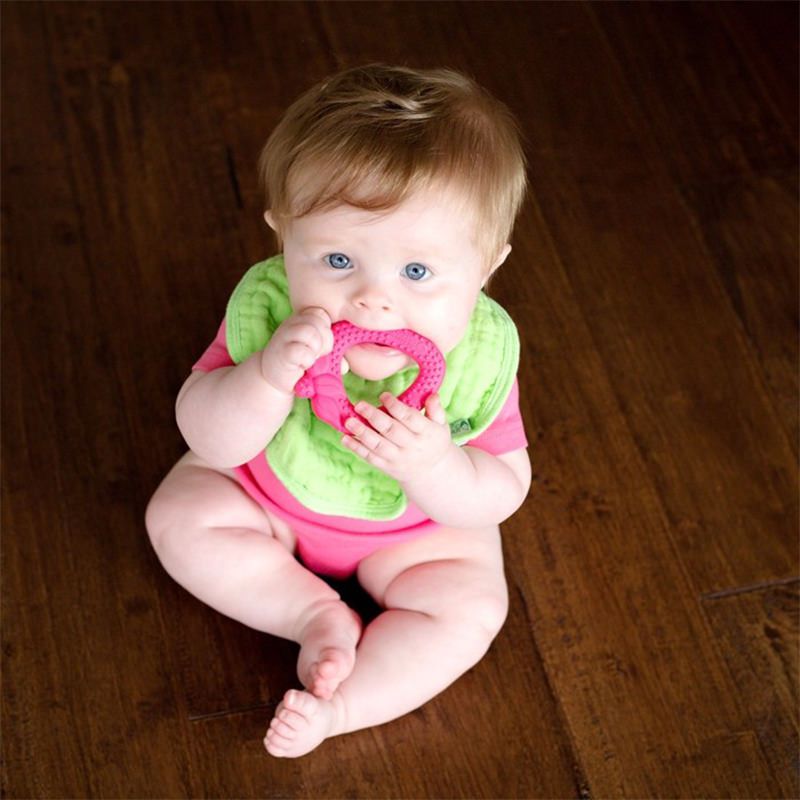 美國 green sprouts - 小綠芽食品安全等級矽膠固齒器-紅草莓