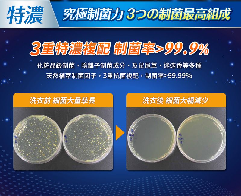 毛寶 maobao - 葳香抗菌洗衣精-防蟎極淨-2000g