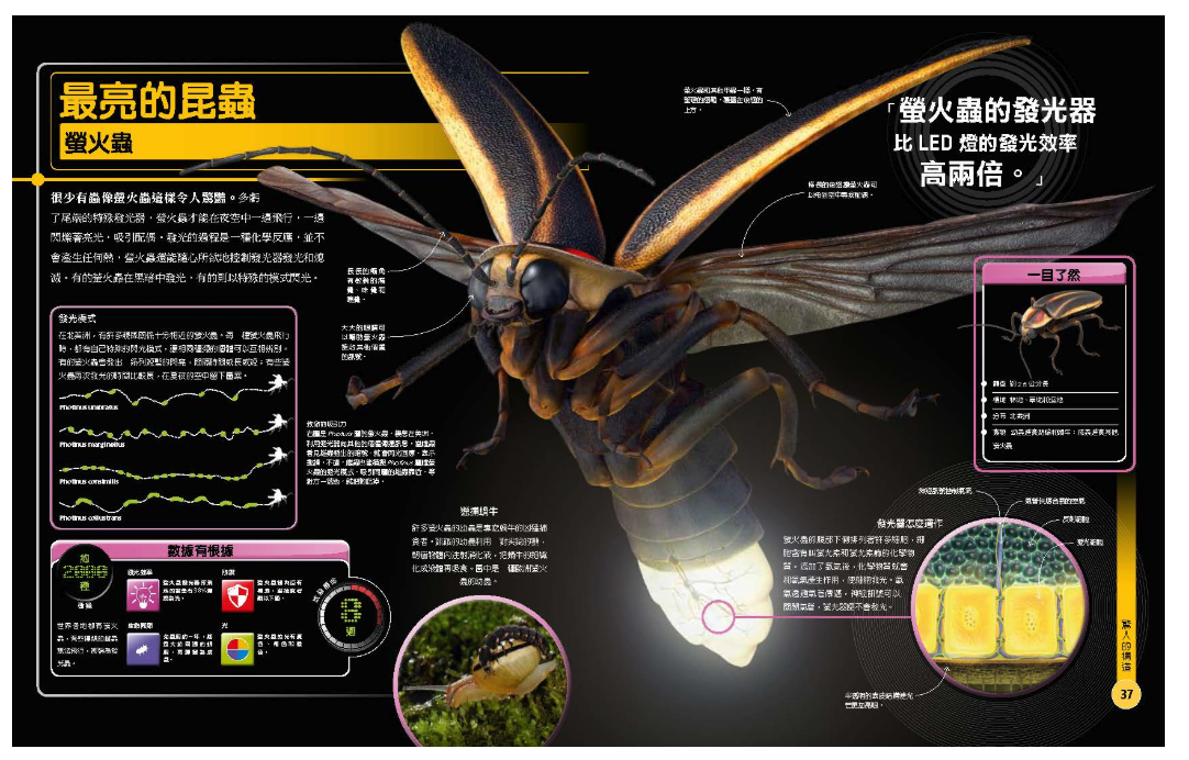 超能力昆蟲百科：地球上最大、最快、最致命的昆蟲與節肢動物 (精裝 / 208頁 /全彩印刷)