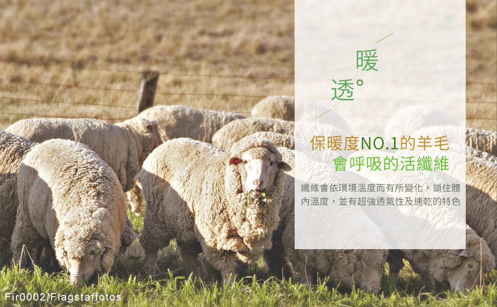 Annypepe - 兒童美麗諾羊毛親膚長袖內衣(裏棉外毛)-小立領-米白 (100-150cm)