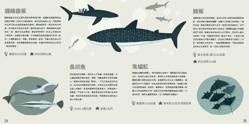 動物界的大旅行家 (精裝 /48頁 /全彩印刷)