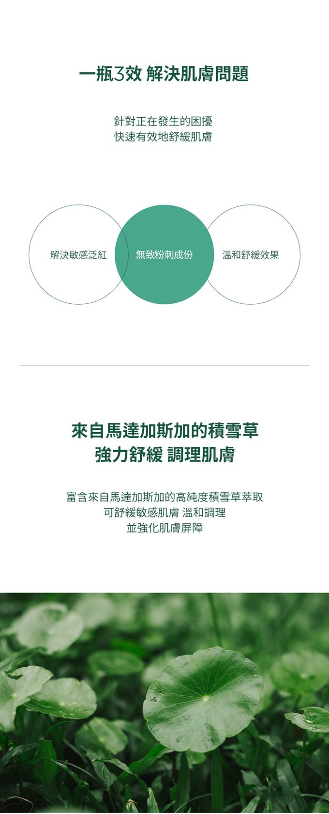 SKIN1004 - 馬達加斯加積雪草-茶樹控油調理精華液 (單入)-100ml