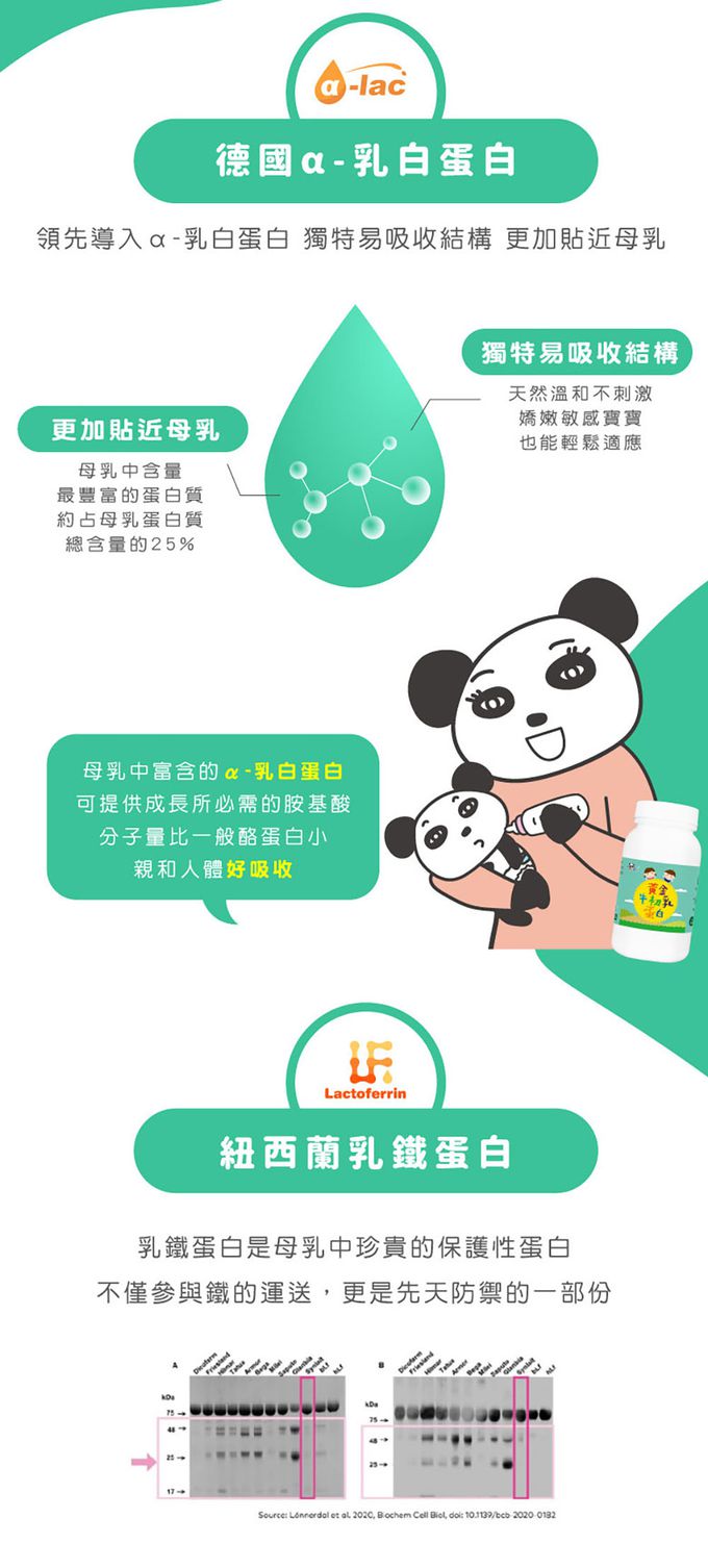 鑫耀生技Panda - 雙重防護-黃金牛初乳蛋白+藻精蛋白粉-200g+120g