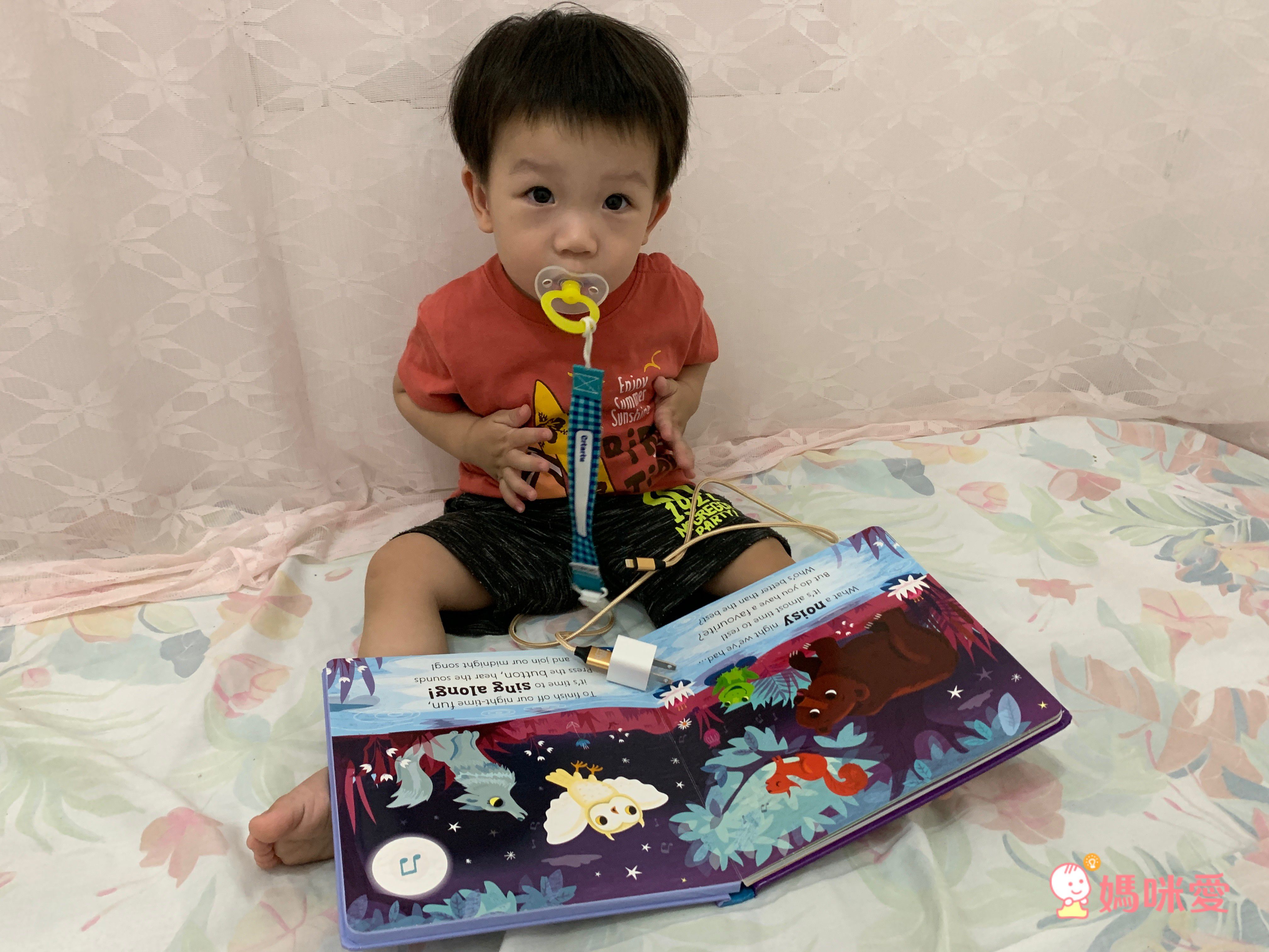 Owl says Hoot-Noisy Touch and Feel 熱鬧的森林夜晚 (觸摸音效書)