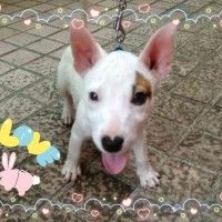 用戶頭像