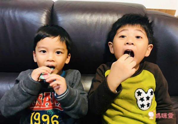 年節禮盒【農純鄉】常溫滴雞精/燕窩鱸魚精/大本山益生菌