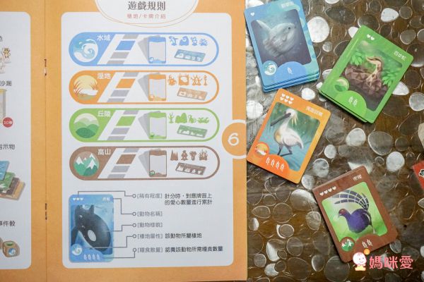 自然科學博物館授權【臺灣特有種】親子桌遊，認識台灣本土物種