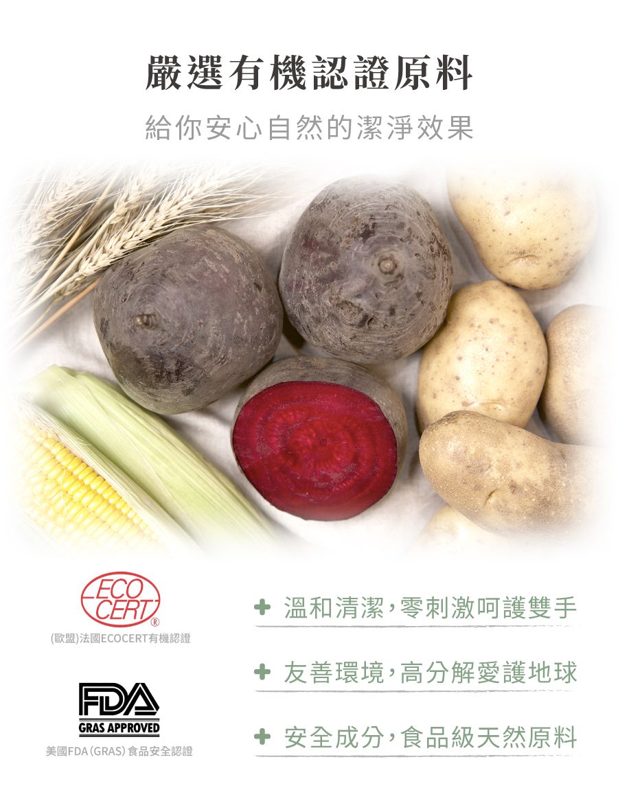 APOMAN 驅虫少年 - 浴廁清潔劑-尤加利薄荷-315ml