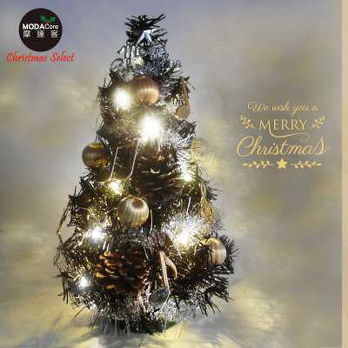 MODACore 摩達客 - 摩達客★台灣製迷你1呎/1尺(30cm)時尚銀彩音符系裝飾黑色聖誕樹+LED20燈銅線燈(暖白光/USB電池兩用充電)免組裝/本島免運費
