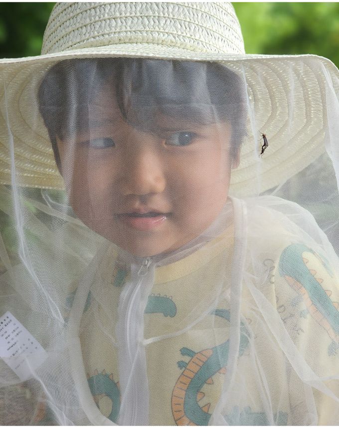 韓國 OZKIZ - 防蚊蟲網兒童草帽 (FREE[頭圍約54~58cm])