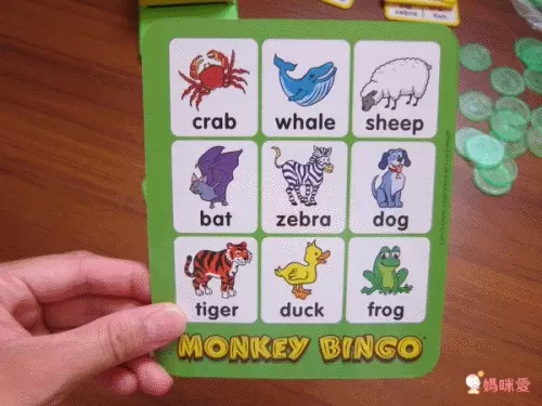 美國 POPULAR - 猴子賓果