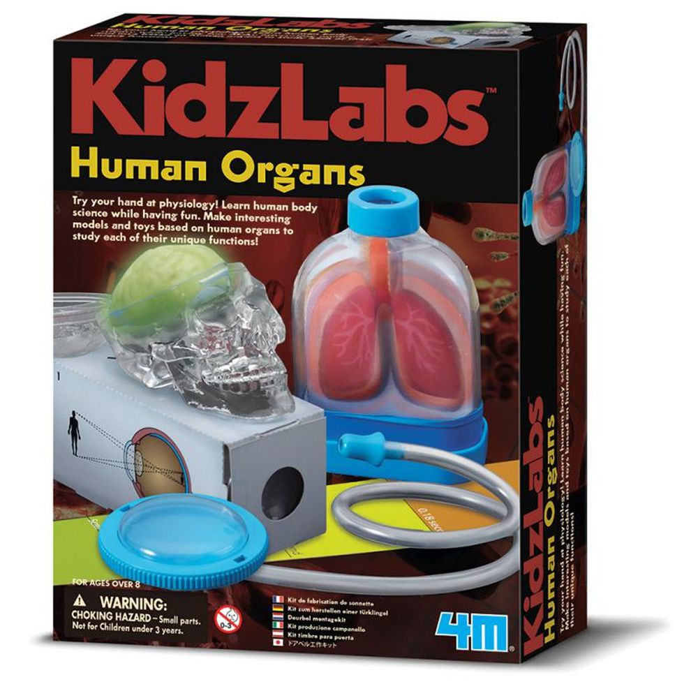 香港4M創意玩具 - 器官的奧秘 Human Organs