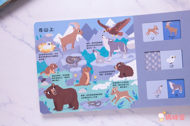 禾流文創 - 【高質感X超厚紙板滑滑書】3本組-猜一猜.我喜歡吃什麼?+猜一猜.我是誰的寶寶+猜一猜.我是什麼職業