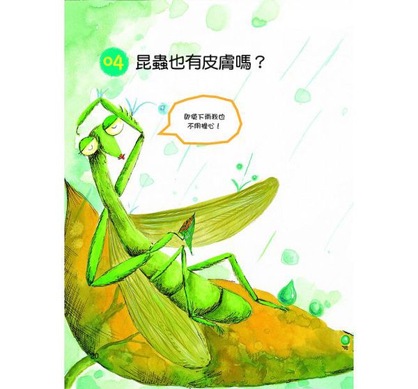 昆蟲大生態-10萬個小知識(1)