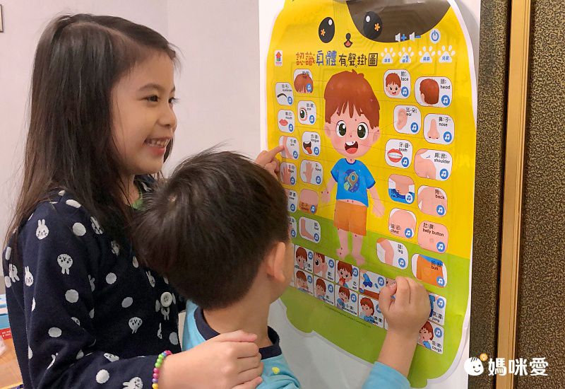 双美生活文創 - 【合購組】交通工具有聲掛圖＋我的第一本觸控點讀有聲書(ABC＋學前認知)