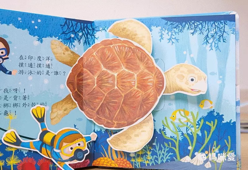 環遊世界立體書-海洋生物