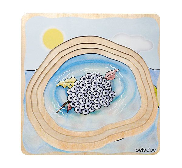 Beleduc - 多層拼圖-青蛙