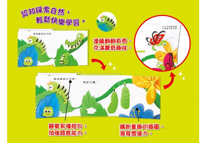 我是這樣長大的-4本合購：蝌蚪游啊游+小雞跑啊跑+螞蟻爬啊爬+毛毛蟲變啊變