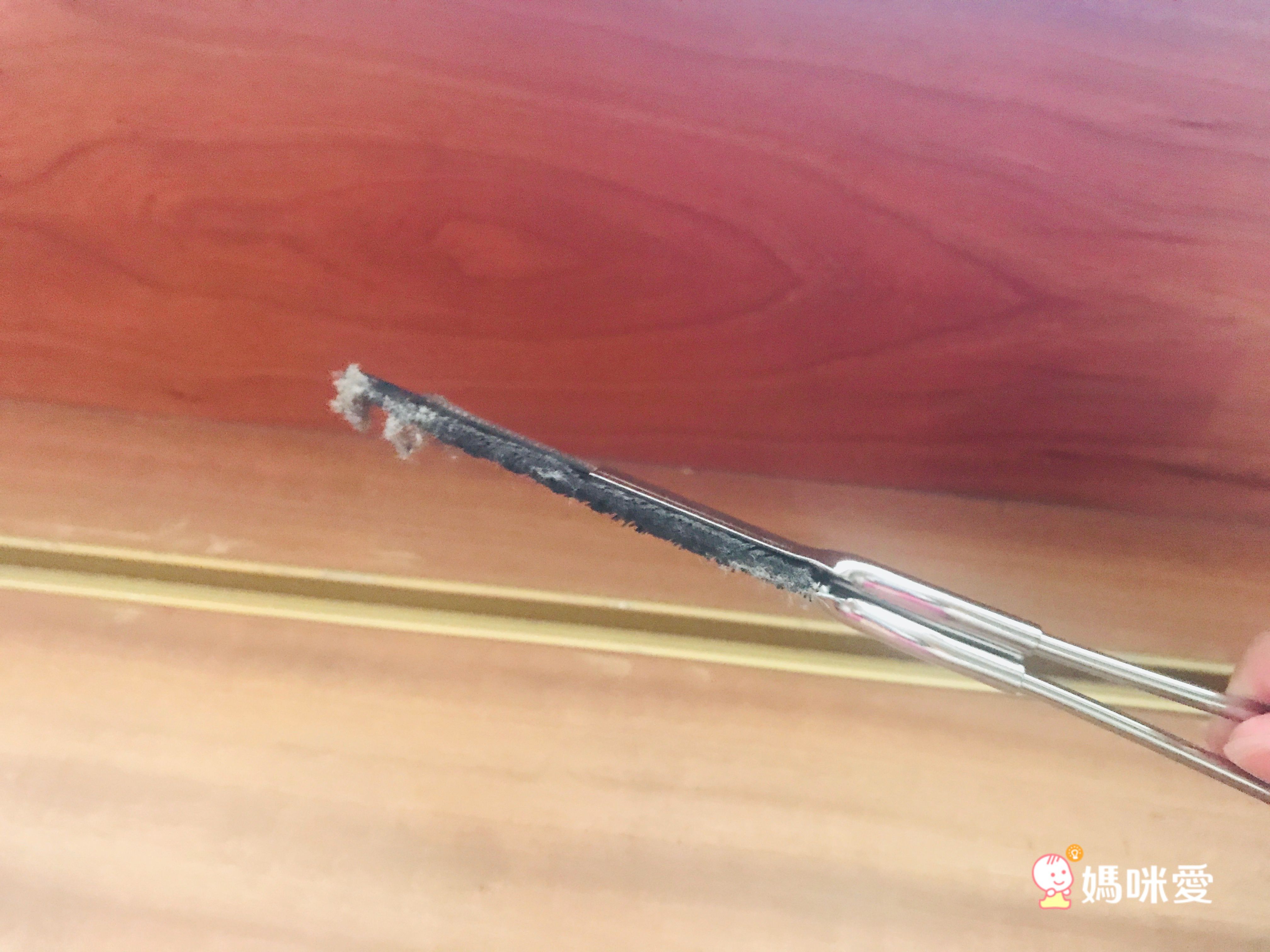 日本製 清潔用具大集合！年節掃除必備