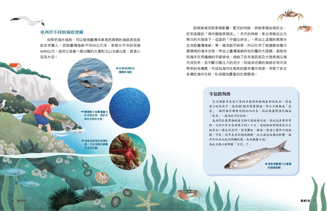 少年讀臺灣：臺灣生態