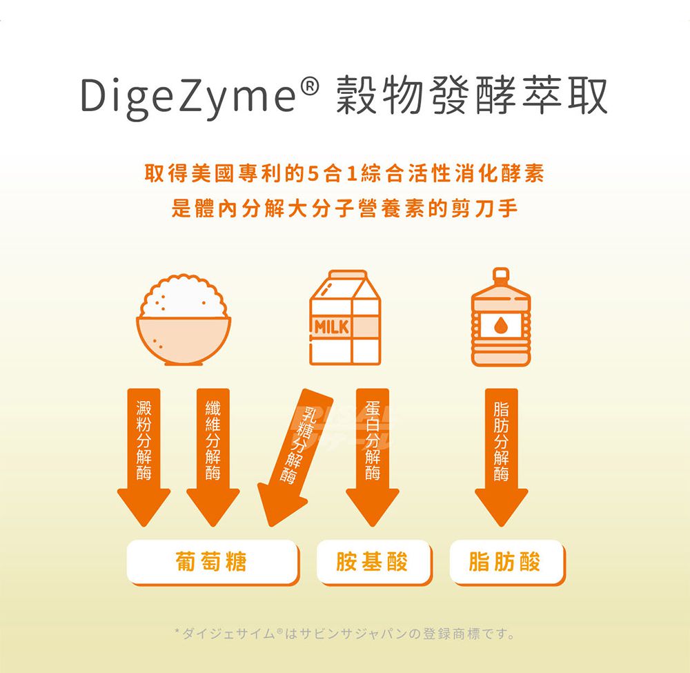 小兒利撒爾Risal - 食欲向上 蔬果消化酵素-45包/盒