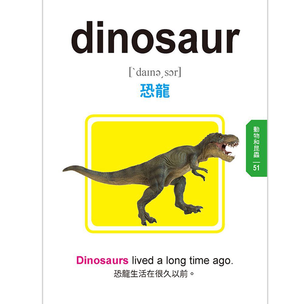 兒童常用英語500單字