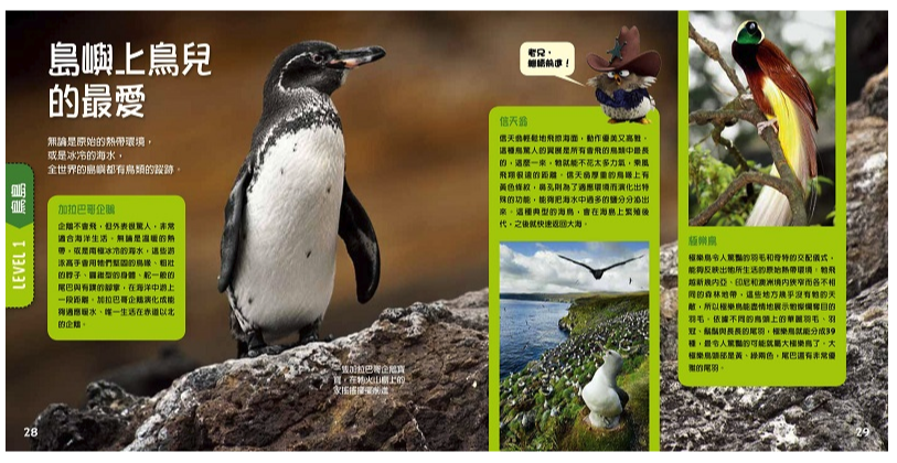 憤怒鳥：銳德的大冒險 (平裝 / 160頁 /全彩印刷)