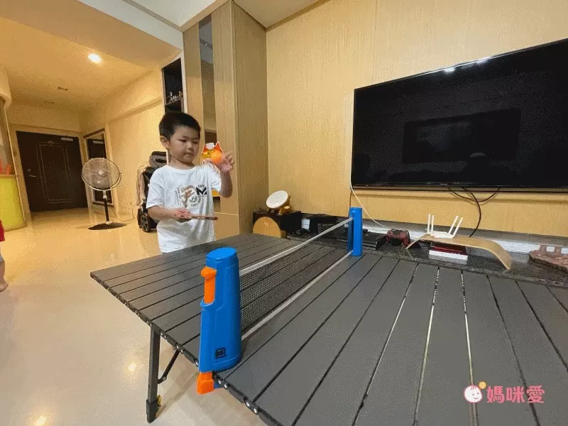 荷蘭BS - 行動桌球網