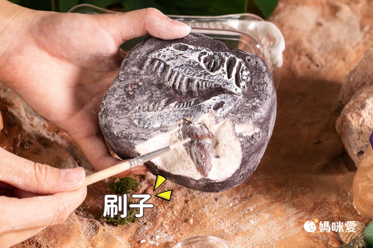 NATIONAL GEOGRAPHIC - 國家地理頻道 恐龍化石挖掘套組