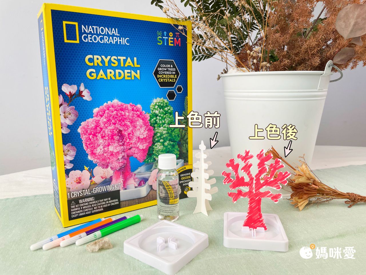 NATIONAL GEOGRAPHIC - 國家地理頻道 紙樹開花(水晶花園實驗套組)