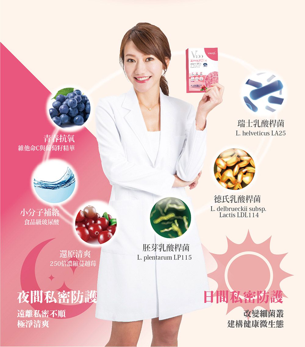 婦潔 VIGILL - 蔓越莓私密益生菌日夜雙護-(20粒+20粒)/盒 (單入)-(20粒+20粒)/盒