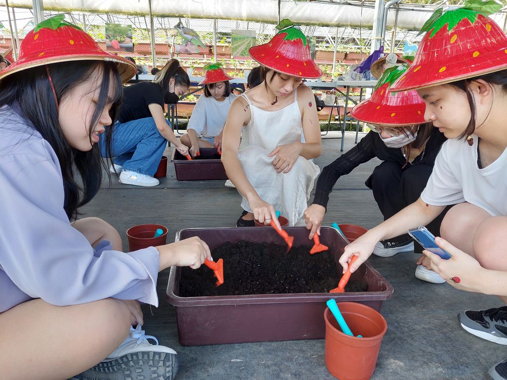 台北 | 內湖休閒農園-小小草莓農人-單人體驗券